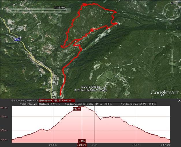 ponte renato sentinello