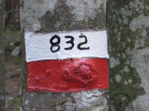832-4