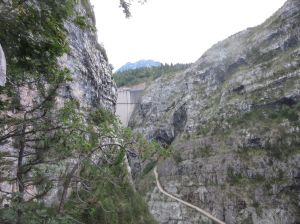 Fer vajont-17