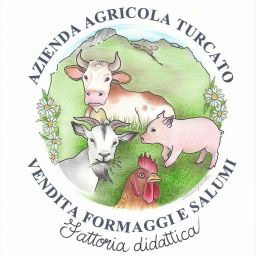 87491175_2313405918953113_2339191012200546304_o