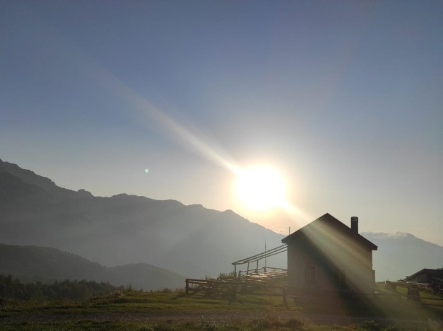 ca8850c1-a690-476d-ab7c-19a298d94e32