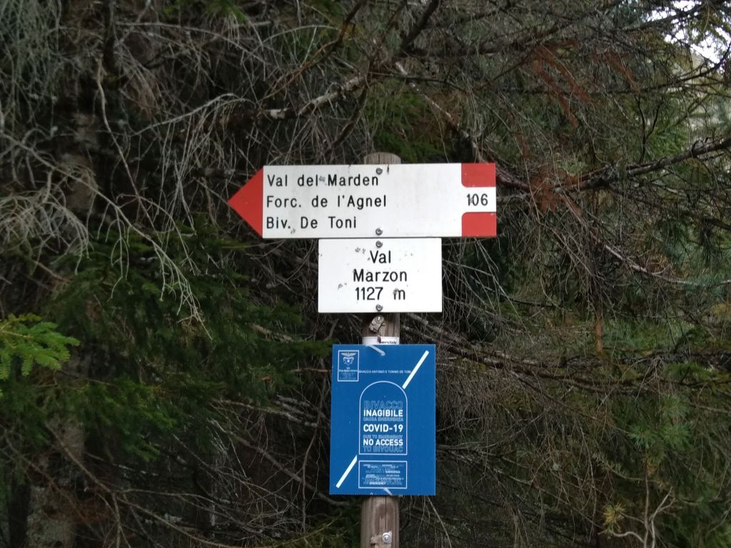 Questa immagine ha l'attributo alt vuoto; il nome del file è img_20211001_174248.jpg